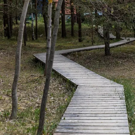 Greenroom Kunigiskes Palanga Exterior photo